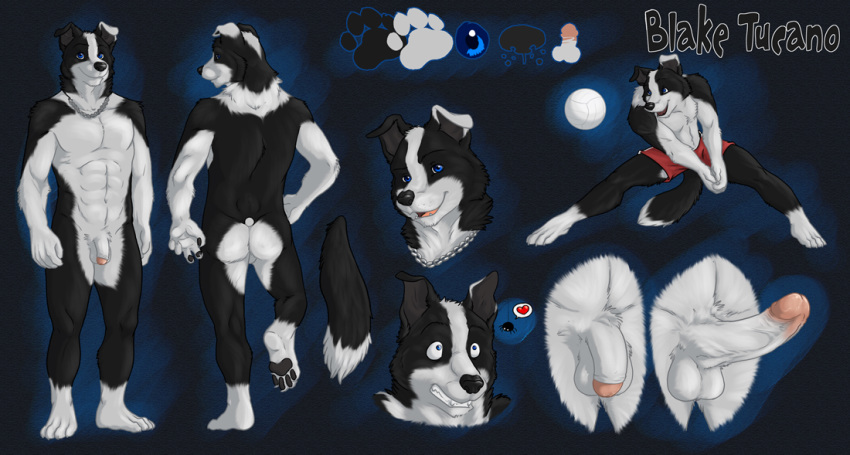 1boy abs anthro ass athletic ball balls biceps big_penis black blake blotch_dog blue_eyes border_collie canine clothes eclipsewolf erection flaccid fur furry heart male male_only model_sheet monochrome muscles pecs penis shorts solo spider tucano tucpile uncut vein veins volleyball white_fur