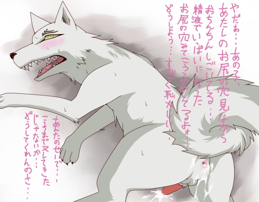 blush canine cum cum_in_ass cum_inside fluffy_tail gay green_eyes kekkaishi madarao male spirit teeth white_fur