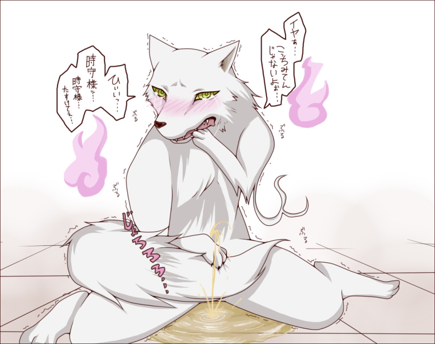 blush canine green_eyes kekkaishi madarao male peeing spirit urine white_fur