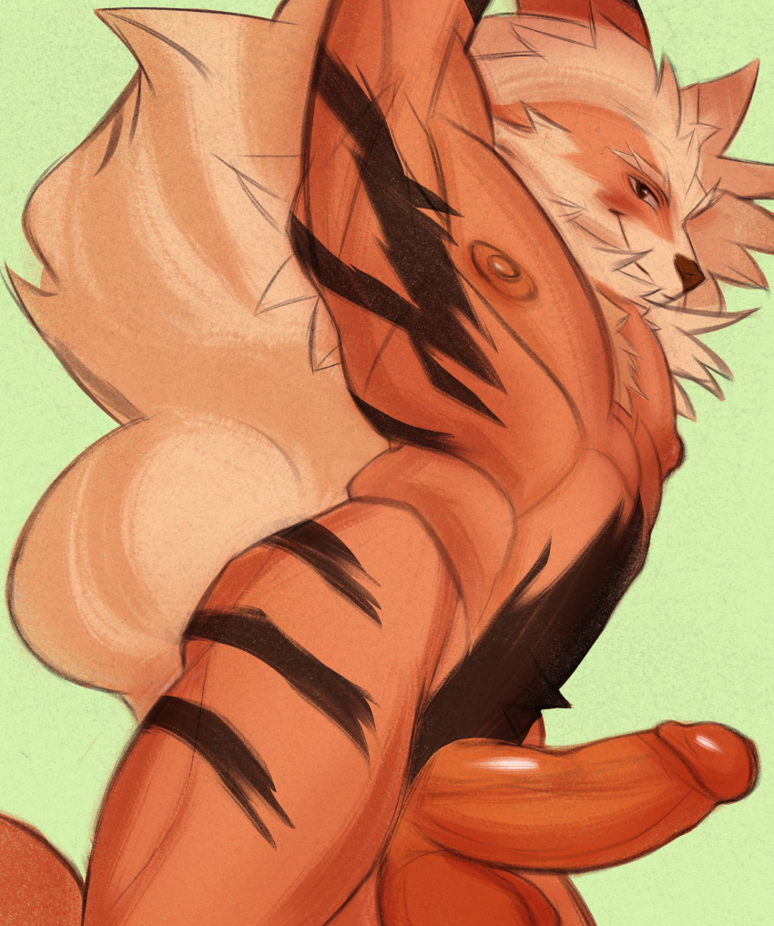 absurd_res anthro arcanine canid canine generation_1_pokemon genitals hi_res humanoid_genitalia humanoid_penis male mammal morshok nintendo nipples penis pokemon pokemon_(species) solo