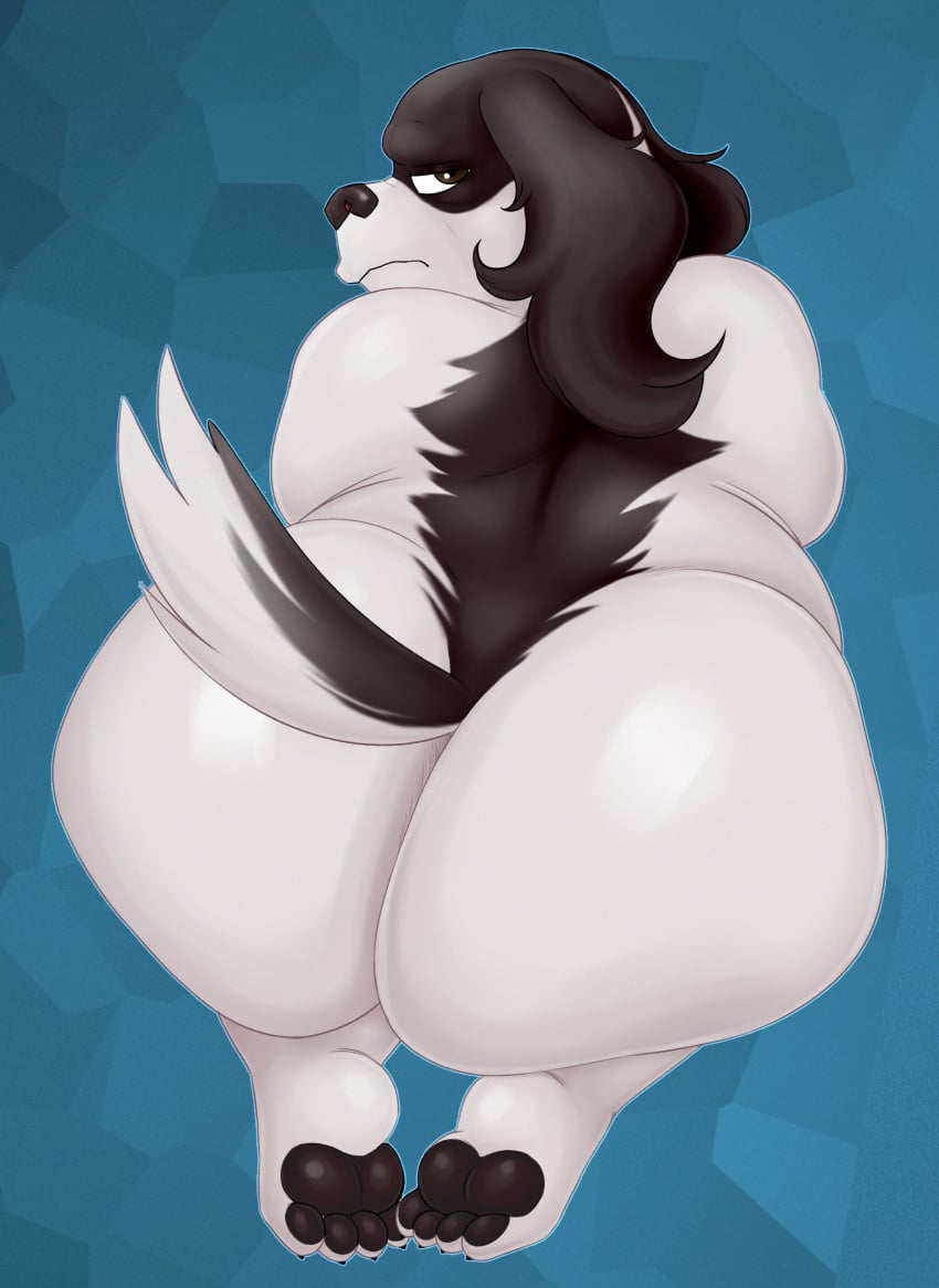 absurd_res angry anthro ass big_butt canid canine canis domestic_dog feet hi_res high-angle_view huge_butt long_ears looking_back luca_(nood1e) male mammal mature_male obese obese_anthro obese_male overweight overweight_anthro overweight_male pawpads sinood1e solo springer_spaniel wide_hips