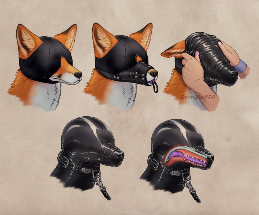 absurd_res ammylin bdsm canid canine colored_nails deepthroat_gag female feral feral_bondage fox gimp_mask hi_res hood human internal latex leash mammal mask nails nose_tube solo zoophilia