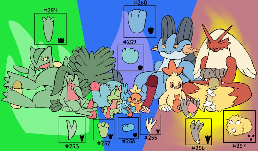 ambiguous_gender blaziken combusken digital_media_(artwork) erection feet feral foot_fetish foot_play footjob footprint generation_3_pokemon genitals green_body group grovyle hashtag hi_res id_number male marshtomp mudkip nintendo number penis pokemon pokemon_(species) sceptile secretsableye sex simple_background smile swampert tail tapering_penis text toes torchic treecko