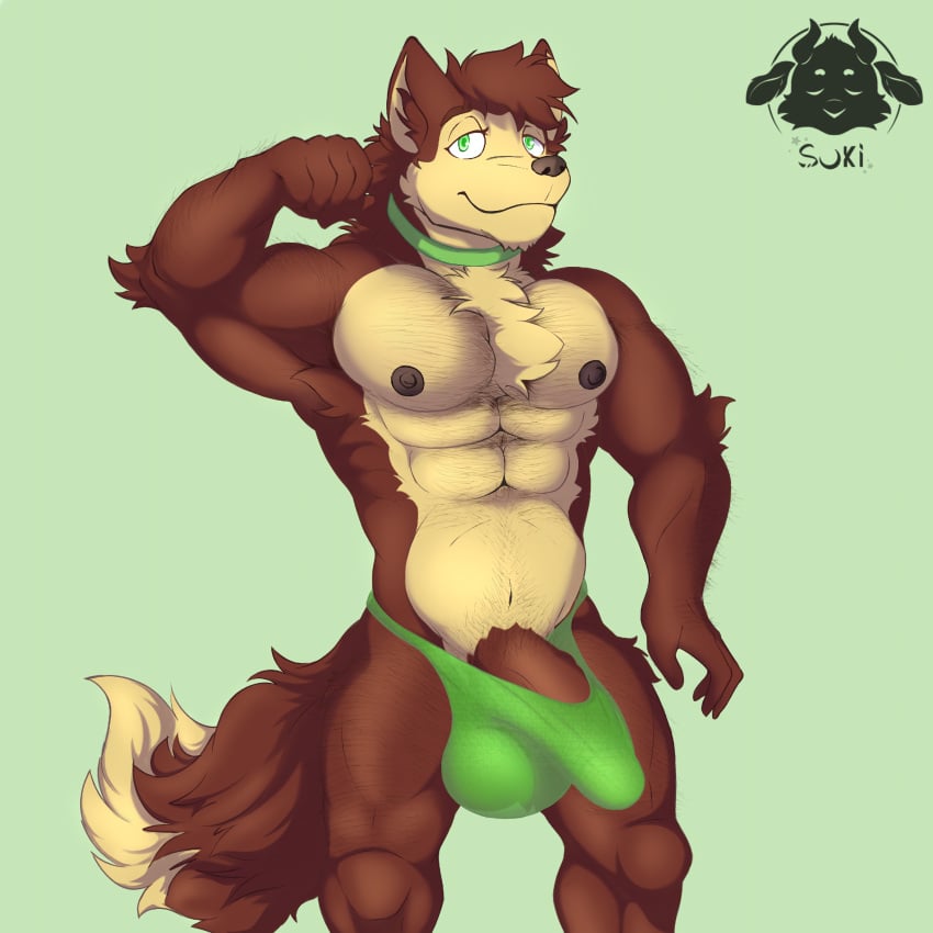 absurd_res anthro balls big_balls big_penis bulge canid canine clothing fox fur genitals green_eyes hi_res hybrid jewelry krankydrack male mammal muscular muscular_anthro muscular_male necklace nipples penis pubic_hair_peek solo squish sukibrillitos underwear vein veiny_penis wolf_tail