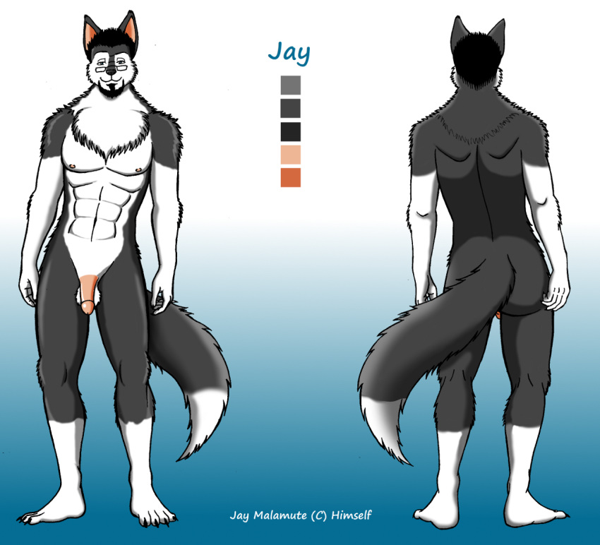 anthro ass canine eyewear fur furry furry_only glasses jay jusu_kilappa looking_at_viewer malamute male male_only model_sheet nude penis solo tail