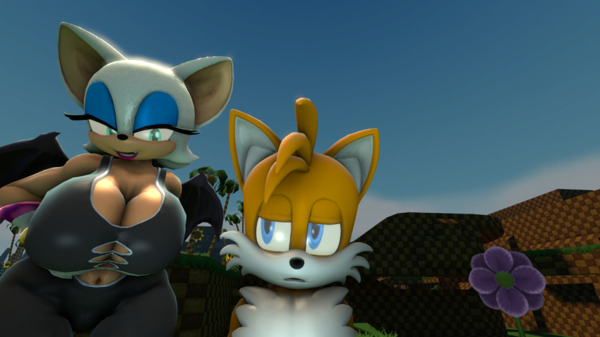 1boy 3d 3d_model mobian mobian_(species) mobian_bat realbibbel rouge_the_bat rouge_the_rider sega sonic_(series) sonic_adventure_2 sonic_the_hedgehog_(series) source_filmmaker tails_the_fox