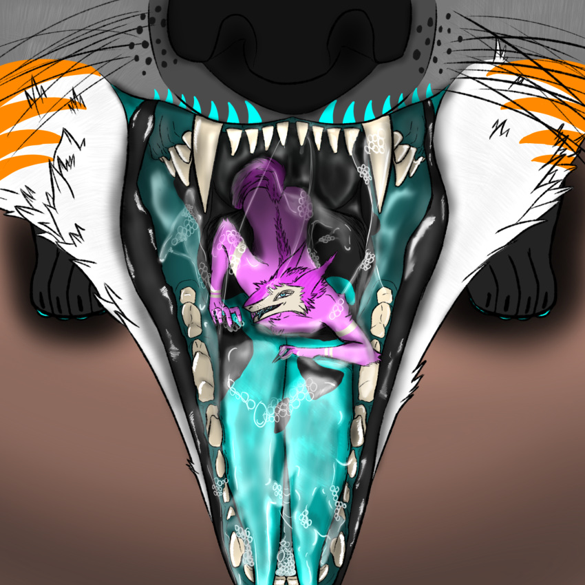 anthro blue_eyes bodily_fluids canid canine duo fangs feral flipper_(fluffyflipper02) fur hi_res in_mouth kiwo lips macro male male/male mammal maned_wolf mawplay mouth_shot open_mouth oral_vore oversized_oral partially_inside pink_body pink_fur saliva saliva_on_tongue saliva_string sergal teeth vore