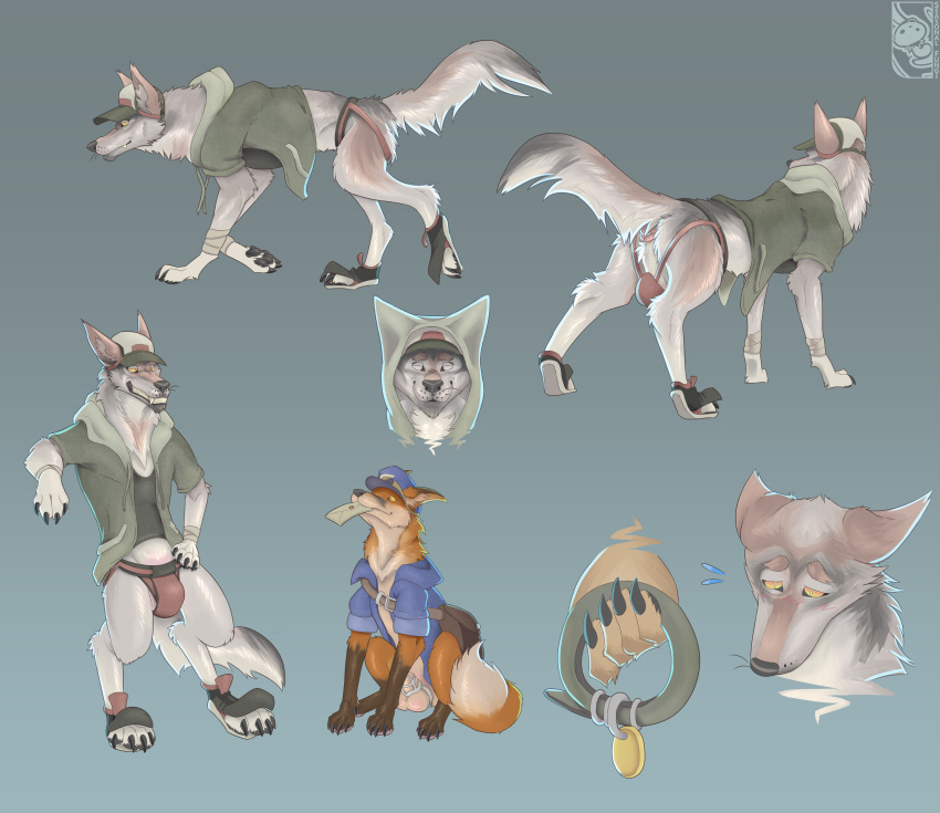 absurd_res animal_genitalia anthro bulge canid canine canis chastity_cage chastity_device clothing collar coyote duo feral fox fur furgonomics genitals hat headgear headwear hi_res jockstrap male male/male mammal red_fox seasonalfungi sheath true_fox underwear