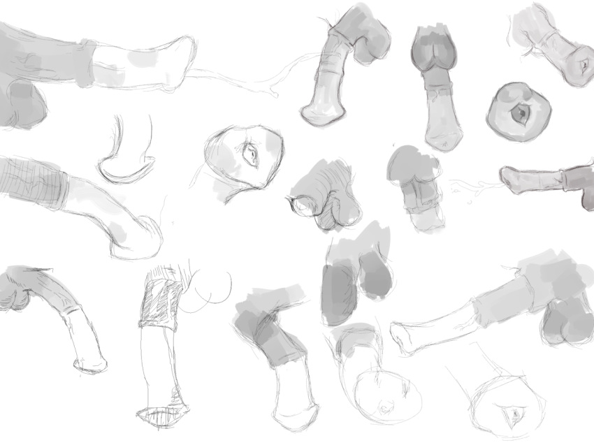 animal_penis balls ballsack black_and_white cum disembodied_penis equine equine_penis erection flaccid flaccid_penis horse horsecock klimatecontrol male male_only medial_ring monochrome multiple_penises partial_male penis penis_focus penis_only precum scrotum sheath sketch testicles tutorial urethra veiny_penis white_background