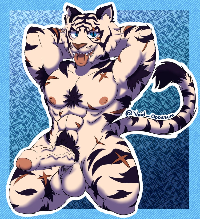 absurd_res anthro balls bedroom_eyes bengal_tiger big_balls big_penis body_hair body_stripes epic_games eye_scar facial_scar felid foreskin fortnite fur genitals hi_res huge_balls huge_cock humanoid male mammal muscular muscular_anthro muscular_male narrowed_eyes nipples oscar_(fortnite) pantherine penis pubic_fuzz scar seductive simple_background solo thick_thighs tiger tongue tongue_out void_opossum white_body white_fur