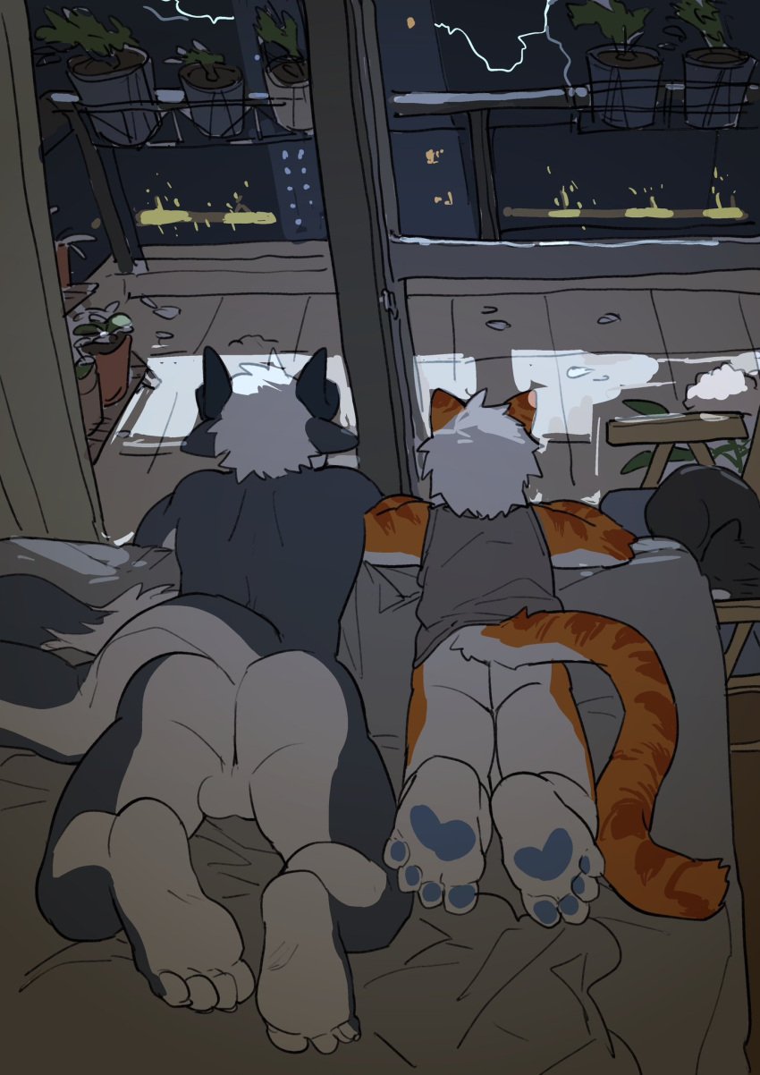 anthro ass balcony balls bed bottomless bottomless_male clothed clothing domestic_cat dragon duo felid feline felis fur furniture gay genitals grey_body hair hi_res horn hu_ku_li_(milkytiger1145) lying male mammal milkytiger1145 mythological_creature mythological_scalie mythology on_bed orange_body orange_fur scalie tail white_body white_fur white_hair yay_(milkytiger1145)