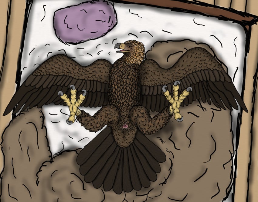 anatomically_correct avian bird cloaca eagle feral golden_eagle hindpaw male paws pinup sawyer_(ferobird) spread_eagle spread_legs spreading talons uppmap123 vent