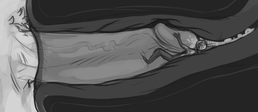 Black And White Rule 34 Image
