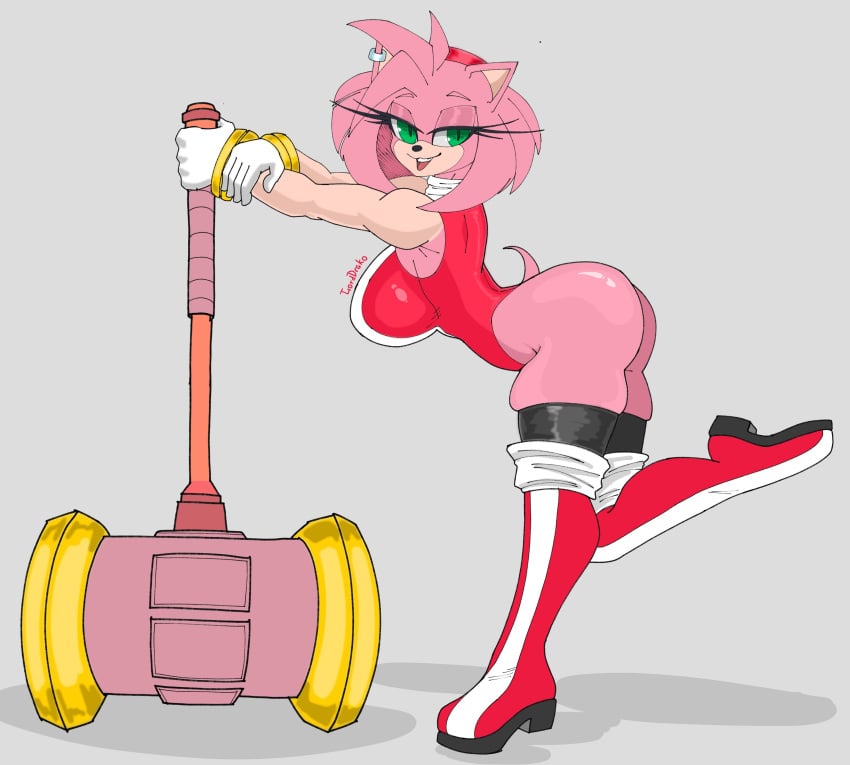 Amy Rose (Sonic (Series)) Rule 34 Image