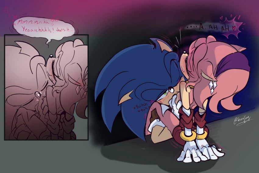 Amy Rose (Sega) Rule 34 Image