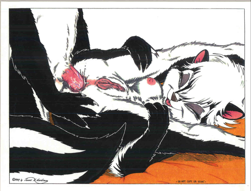 1990s 1997 20th_century anal anal_penetration anal_sex black_fur breasts eyes_closed fur furry james_harrdiman_(artist) james_m_hardiman legs legs_over_head legs_up male/female mammal nipples penis pussy pussy_lips sex skunk skunkworks spread_legs straight