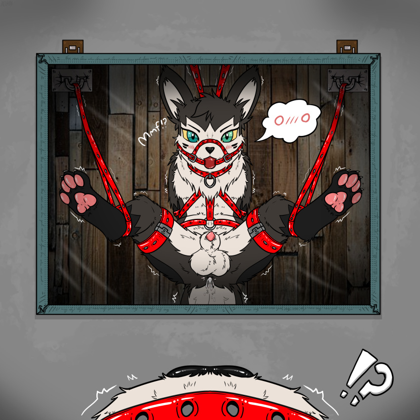 Fan Character (Nintendo) Rule 34 Image