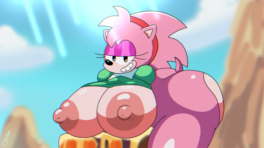 Amy Rose (Sonic (Series)) Rule 34 Image