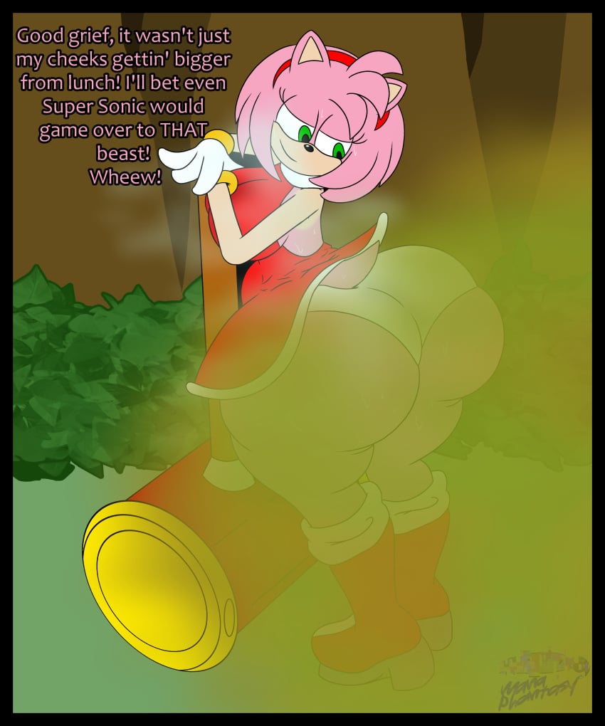 1girls amy_rose ass ass big_ass big_butt bubble_ass bubble_butt fart fart_cloud fart_everywhere fart_fetish farting huge_ass huge_butt lewdmanaphantasy musky panties sega sonic_(series) sonic_the_hedgehog_(series) sweaty text thick_thighs upskirt