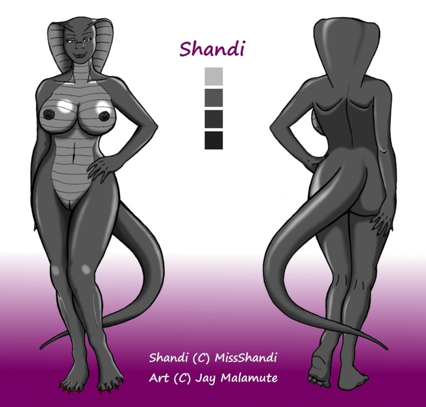 ass breasts cobra female looking_at_viewer model_sheet nude pose reptilian shandi snake