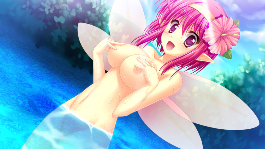 breasts elf fairy_(ima_mo_itsuka_mo_faruna_runa) game_cg ima_mo_itsuka_mo_faruna_runa kamiya_tomoe nipples nude short_hair wet wings