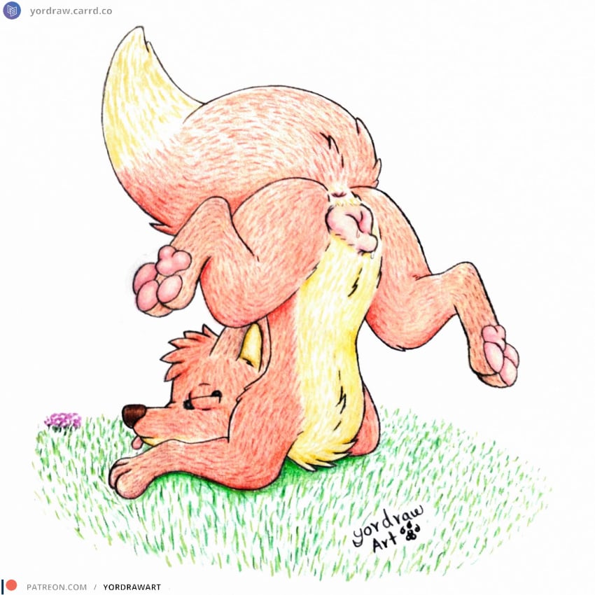 3_toes animal_genitalia animal_pussy anus ass ass_up canid canine canine_genitalia canine_pussy closed_eyes feet female feral flower fox fur genitals grass hi_res jungledyret_hugo legs_in_air legs_up mammal patreon patreon_logo patreon_username pawpads paws pink_paws pink_pussy plant presenting presenting_hindquarters pussy red_fox rita_(jungledyret) solo spread_legs spreading text toes tongue traditional_media_(artwork) true_fox url yordraw