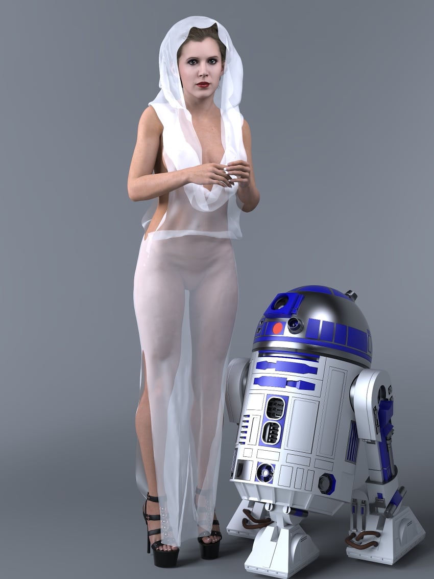 Princess Leia Organa (Star Wars) Rule 34 Image
