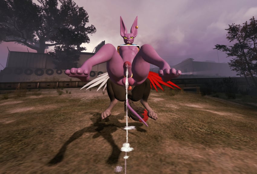 Beerus (Dragon Ball) Rule 34 Image