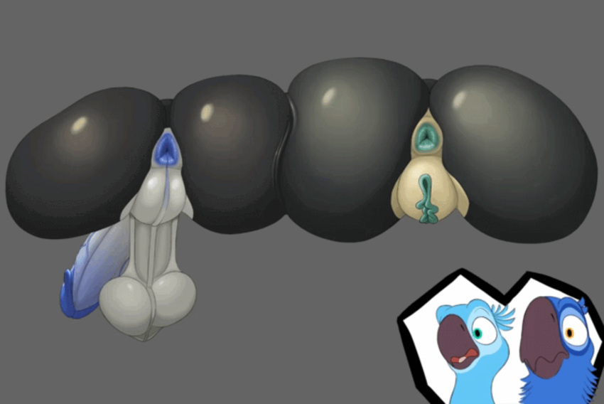 Blu (Rio) Rule 34 Image