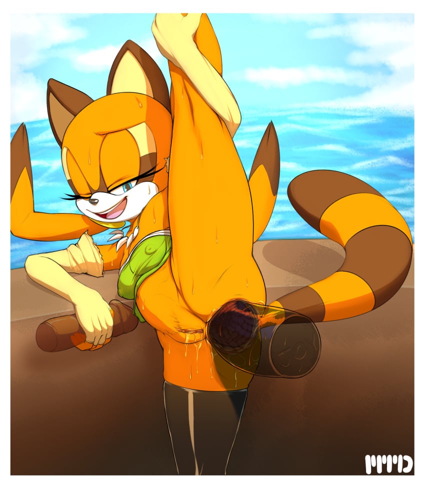 anal anus arm_socks ass ballerina_position dildo elbow_gloves erect erect_nipples female fingerless_gloves fur furry gloves leg_up male marine_the_raccoon marthedog nipples open_mouth raccoon sega sex_toy smile smiling sonic_(series) stockings stretch stretching sweat tail uncensored water wet