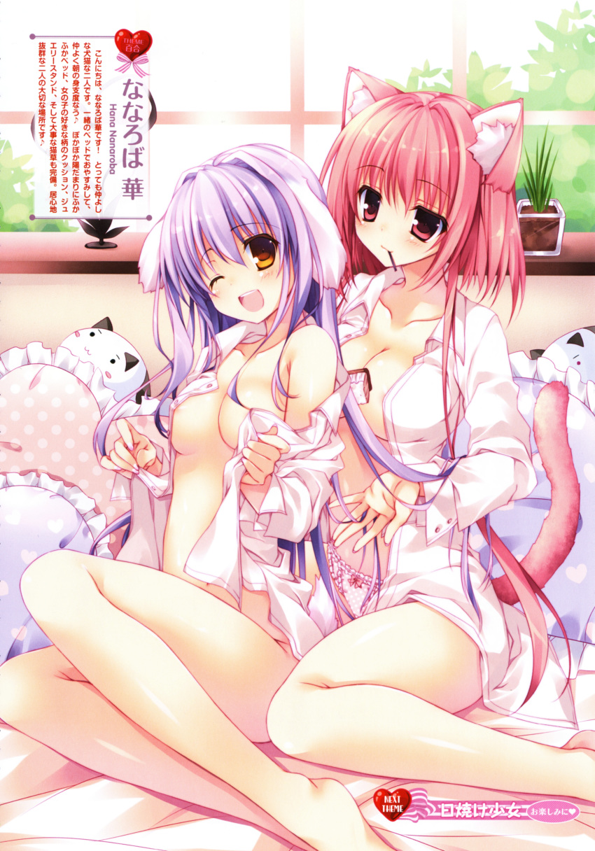 2girls ;d animal_ears areola_slip areolae artist_name bed blush bottomless breasts brush brushing cat_ears cat_tail cleavage dog_ears dog_tail dress_shirt female happy heart high_resolution large_breasts legs mouth_hold multiple_girls naked_shirt nanaroba_hana nipples no_bra no_panties off_shoulder open_clothes open_mouth open_shirt panties pillow pink_eyes pink_hair pink_panties polka_dot polka_dot_panties purple_hair shirt sitting smile stuffed_animal stuffed_cat stuffed_toy tail text translation_request underwear window wink yellow_eyes yuri