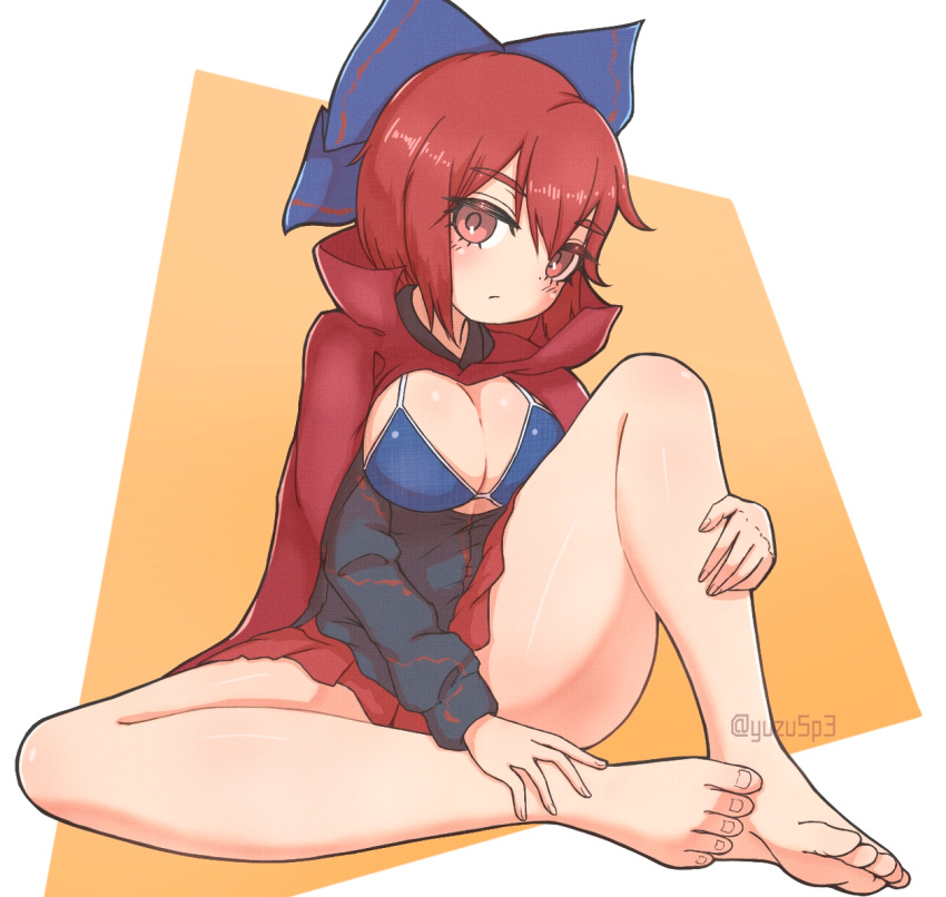 Sekibanki (Touhou) Rule 34 Image