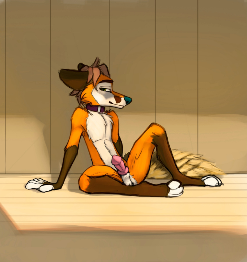 Allegro (Allegrofox) Rule 34 Image