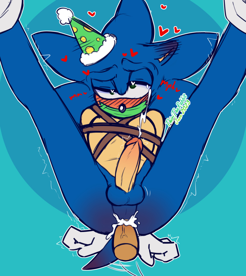 Sonic The Hedgehog (Sega) Rule 34 Image