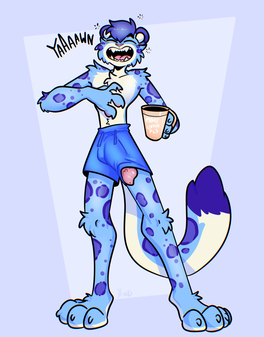 absurd_res anthro athletic_wear beverage blue_background blue_body blue_fur blue_hair blue_shorts blue_spots bottomwear closed_eyes clothing coffee coffee_mug english_text erection fangs felid fur genitals gym_bottomwear gym_shorts hair hi_res hybrid_genitalia hybrid_penis leopard male male_only mammal markings open_mouth pantherine penile_spines penis shorts simple_background solo sound_effects spots spotted_body spotted_fur teeth text wardrobe_malfunction white_body white_fur xing1 yawn