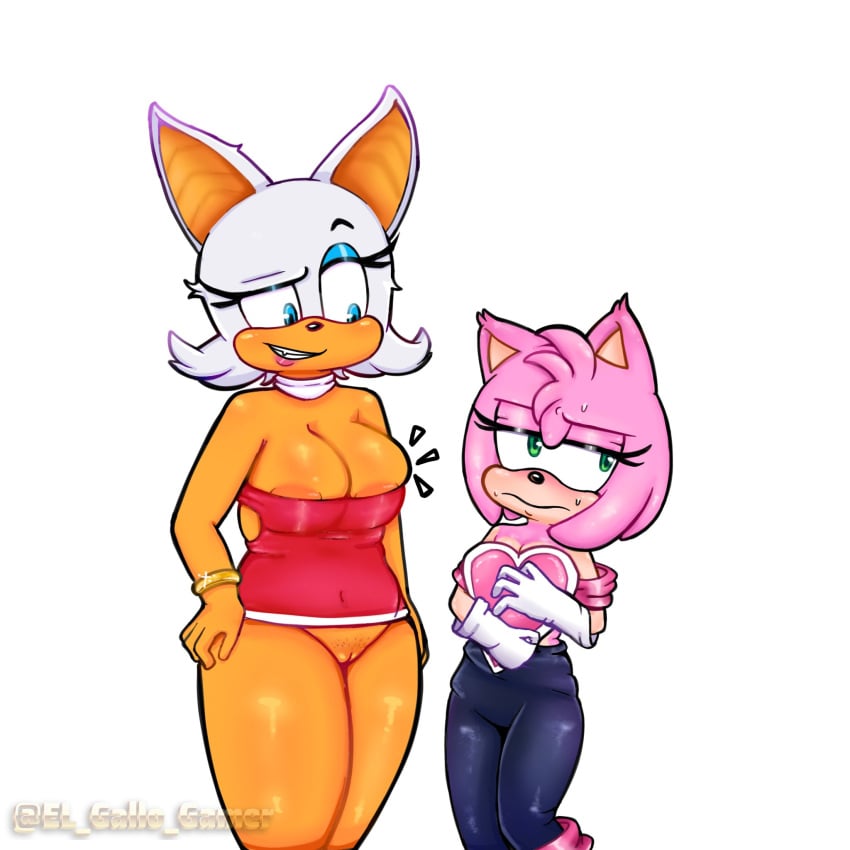 Amy Rose (Sega) Rule 34 Image