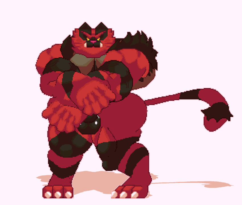 animated anthro bsurd_res clothes_ripping digital_media_(artwork) flexing generation_7_pokemon genitals guard hi_res incineroar loop male male_focus mammal morinetsu muscular muscular_anthro nintendo penis pixel_(artwork) pixel_animation pokemon pokemon_(species) ripped_clothing solo