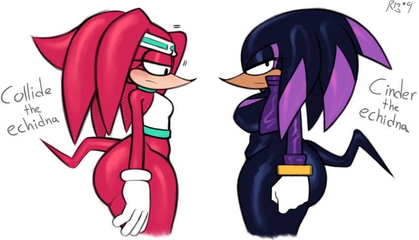 2girls 88 big_ass bustier dark-skinned_female dark_skin echidna embarrassed furries headband headgear headwear jacket light-skinned_female looking_at_viewer looking_down mobian_(species) no_humans original_character red_skin snesti sonic_(series) tagme white_background