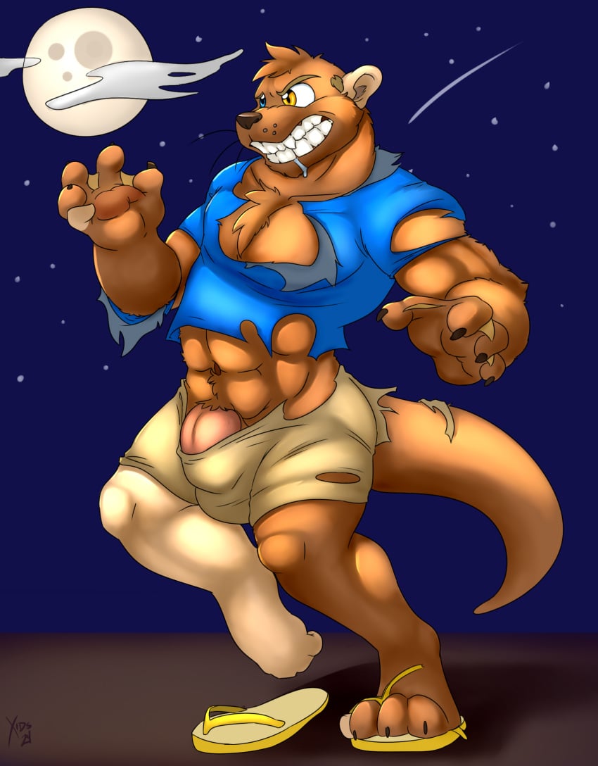 2024 4_fingers 5_toes abs anthro artist_name biceps blonde_hair blue_eyes bodily_fluids bottomwear brown_body brown_claws brown_fur brown_nose bulge cheek_tuft chest_tuft chin_tuft claws clenched_teeth clothing cloud comet curled_fingers curling_toes detailed_bulge drooling erection_in_pants facial_tuft feet finger_claws fingers flip_flops footwear full_moon fur fur_growth genital_outline genitals growth hair hair_to_fur head_tuft heterochromia hi_res human human_to_anthro humanoid_feet humanoid_genitalia humanoid_penis januwerey light looking_at_own_hand male male_focus male_only mammal membrane_(anatomy) mid_transformation moon moonlight muscular muscular_anthro muscular_male mustelid night on_one_leg otter outside paws pecs penis pink_penis plantigrade raised_foot raised_leg saliva sandals shaded sharp_teeth shirt shoes shorts signature sky soft_shading solo species_transformation standing star starry_sky t-shirt tail tail_growth tailsplosion teeth thick_penis thick_tail tight_clothing toe_claws toes topwear torn_bottomwear torn_clothing torn_shirt torn_shoes torn_shorts torn_t-shirt torn_topwear transformation tuft webbed_hands werecreature weremustelid wereotter whisker_spots whiskers xids yellow_eyes