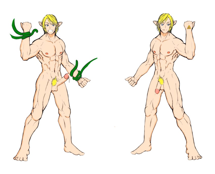 crimsonblood link male_only the_legend_of_zelda