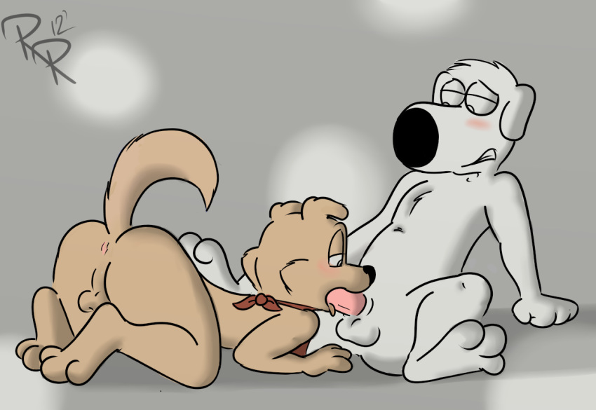 brian_griffin family_guy fellatio male_only new_brian rotten_robbie tagme