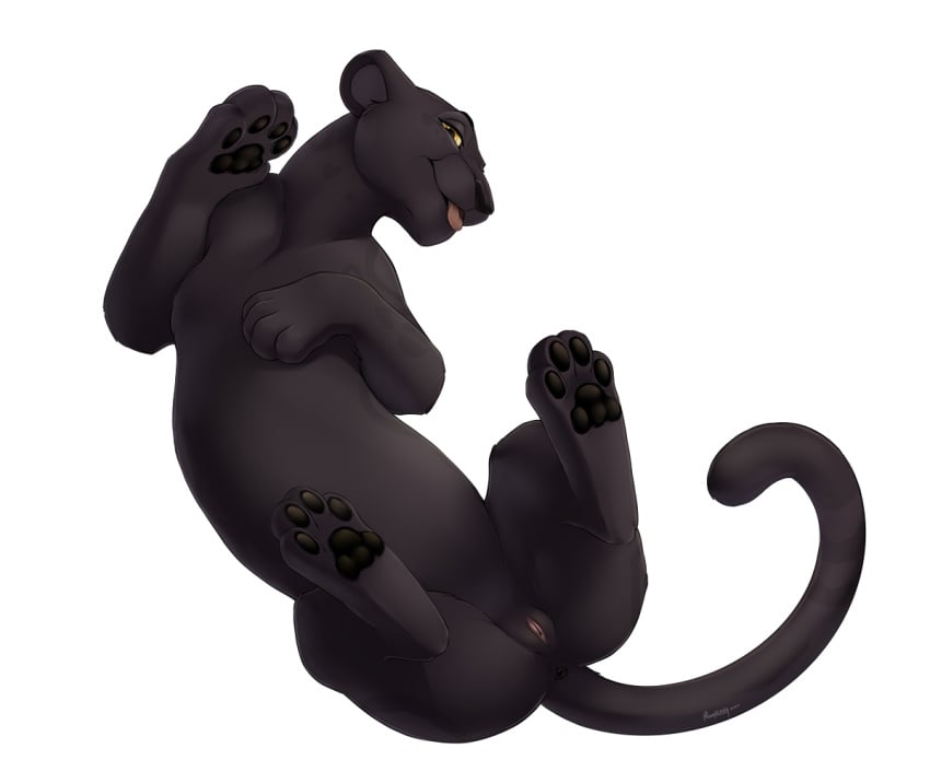 2025 alpha_channel amber_eyes animal_genitalia animal_pussy animal_vulva anus ass black_body black_fur black_nose black_pawpads digital_media_(artwork) felid feline_genitalia feline_pussy female feral fur genitals high-angle_view leopard looking_at_viewer lying mammal on_back open_mouth pantherine pawpads paws playful portrait presenting presenting_hindquarters presenting_vulva pussy raised_paw roughlady shaded signature smile solo spread_legs spreading tail tail_anus tongue tongue_out vulva zihole_(mwendo)