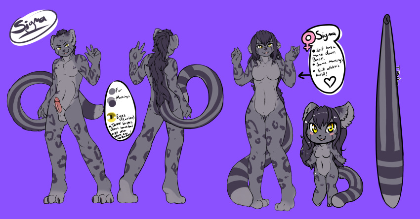 Socks (Marking) Rule 34 Image