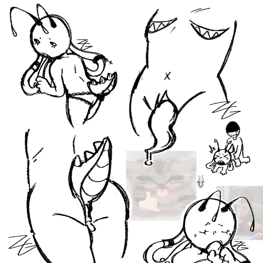 Original Character Rule 34 Image