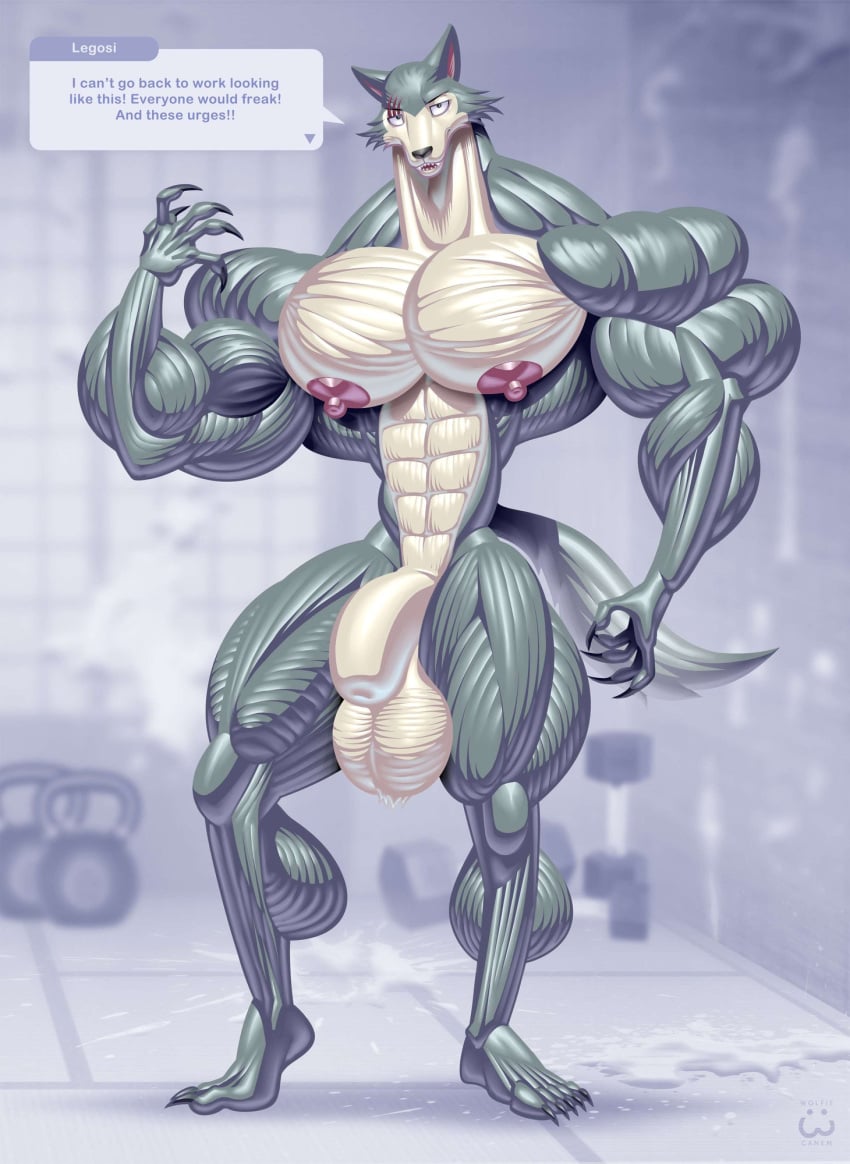 2024 abs animal_genitalia anthro artist_name ball_tuft balls beastars biceps big_balls big_biceps big_genitalia big_muscles big_nipples big_pecs big_penis biped black_finger_claws black_nose black_toe_claws blue_arms blue_body blue_ears blue_feet blue_legs blue_tail blue_text blurred_background canid canine canis countershade_face countershade_torso countershading digital_drawing_(artwork) digital_media_(artwork) dumbbell english_text exclamation_point eyebrow_scar eyebrows facial_scar feet flaccid fully_sheathed genitals gym hi_res huge_muscles humanoid_feet hyper hyper_muscles legoshi_(beastars) looking_at_viewer male mammal muscular muscular_anthro muscular_arms muscular_biceps muscular_legs muscular_male muscular_thighs neck_muscles nipples nude nude_anthro nude_male obliques open_mouth pecs penis pink_inner_ear pink_nipples plantigrade pronounced_browridge scar serratus shadow sharp_teeth sheath signature solo speech_bubble standing tail talking_to_viewer tan_body tan_countershading tan_face teeth text thick_arms thick_neck thick_thighs trapezius tuft weights white_speech_bubble wolf wolfiecanem