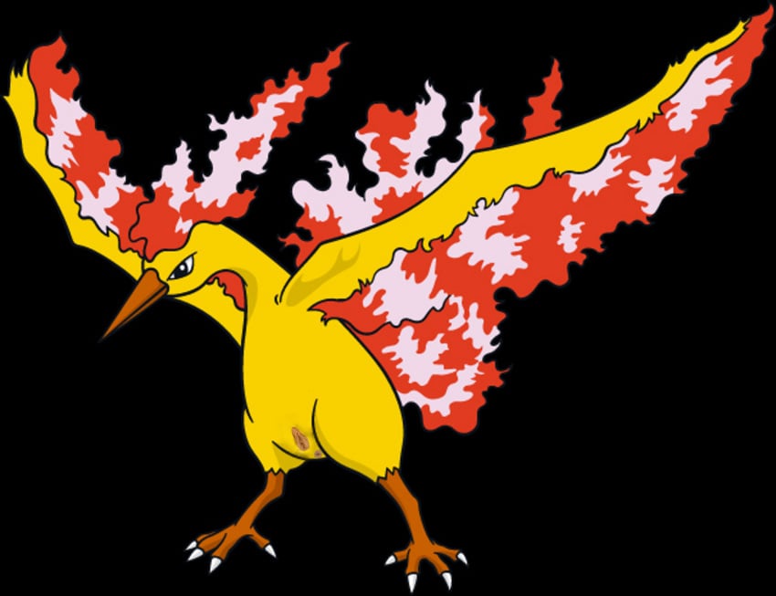 anus color female female_only feral fire moltres pokemon solo standing tagme vulva wings