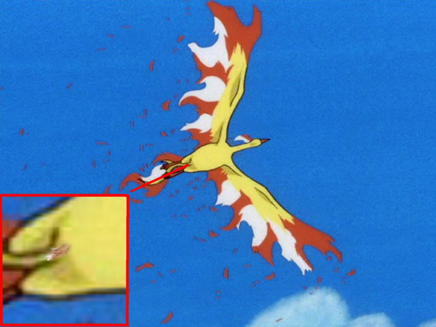 color female female_only moltres nudity pokemon solo vulva