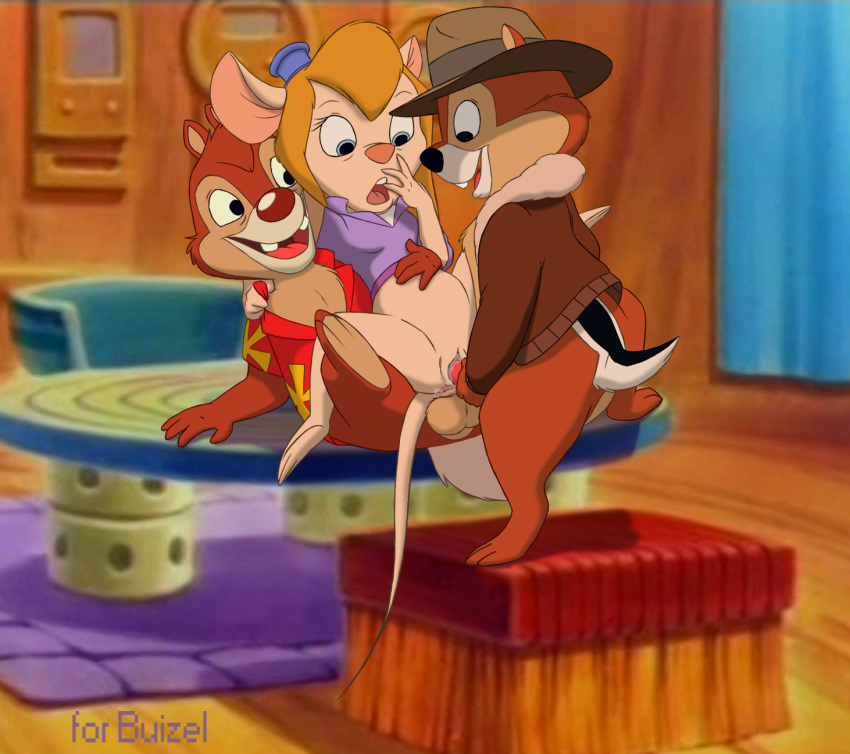 Chip (Chip 'N Dale Rescue Rangers) Rule 34 Image