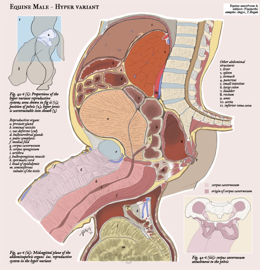 Vasmeth Rule 34 Image