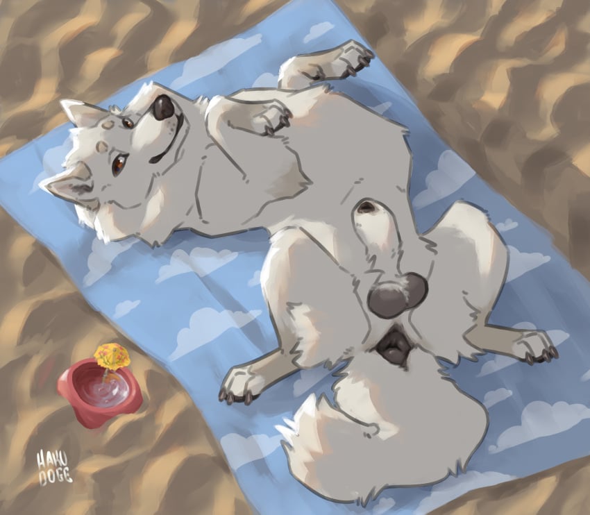 Animal Genitalia Rule 34 Image